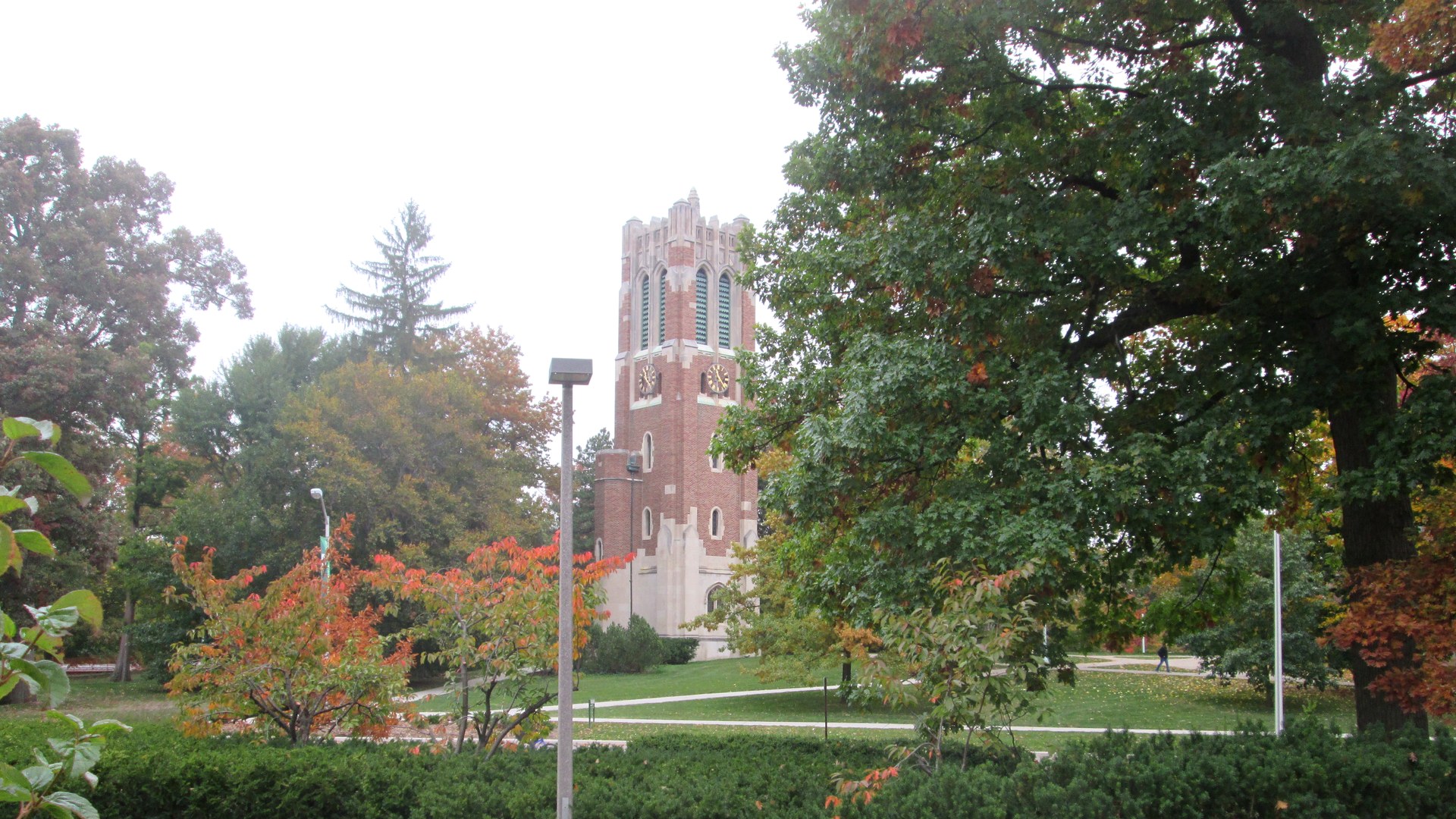 Beaumont Tower — a landmark near our East Lansing office